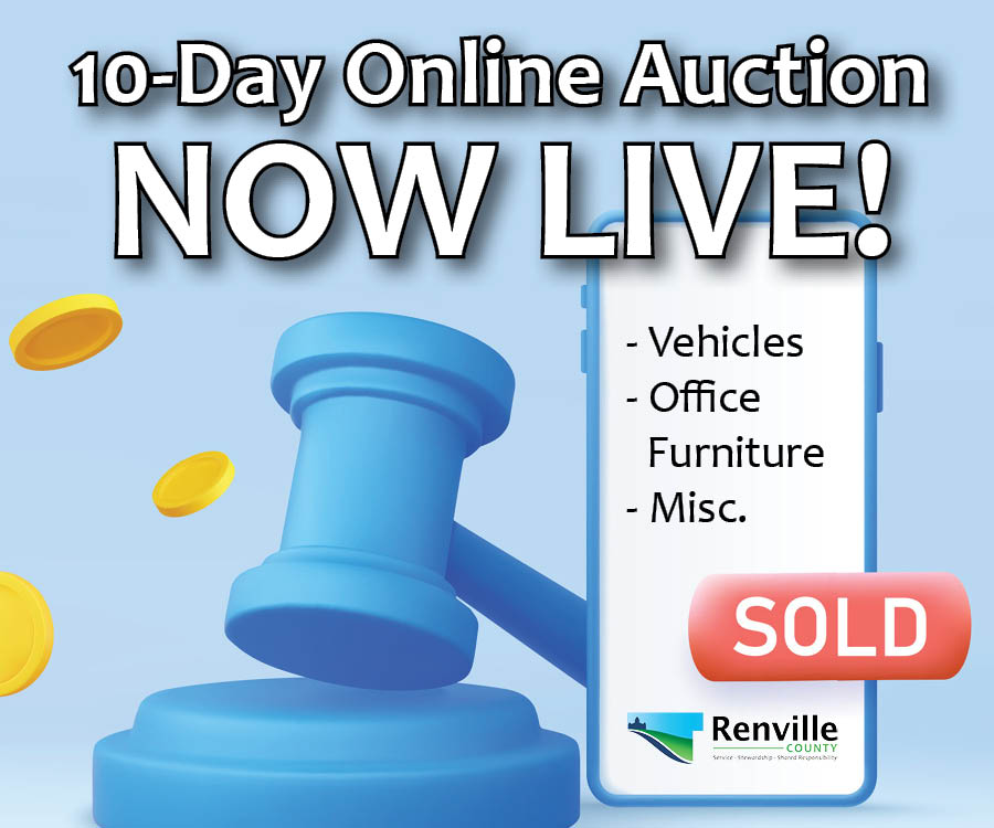 Auction Graphic